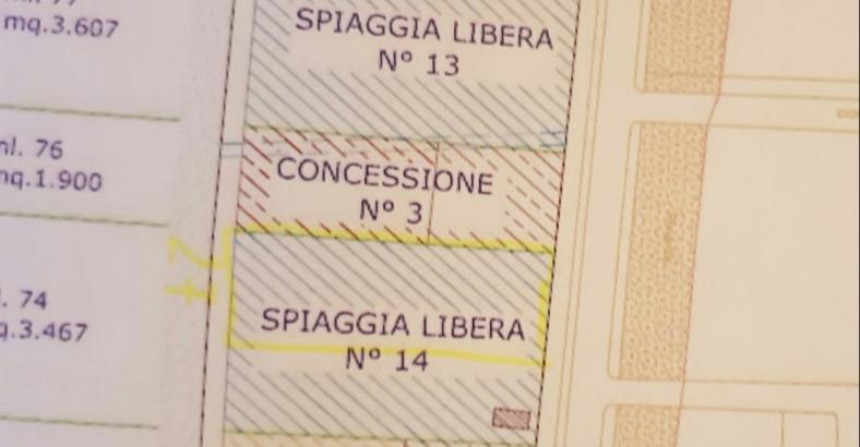 Asipress Mare A Giulianova Spiaggia Riservata Ai Cani